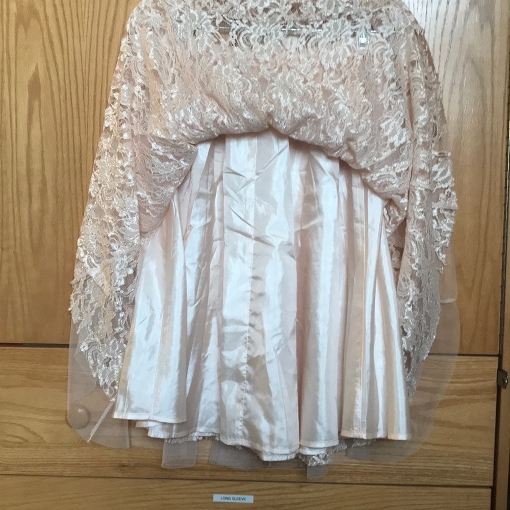 Light Pink Lace and tulle Midi Skirt - Picture 4 of 4